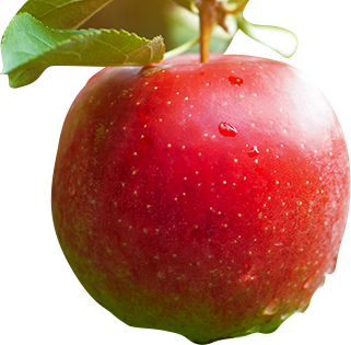 zeigt einen Apfel