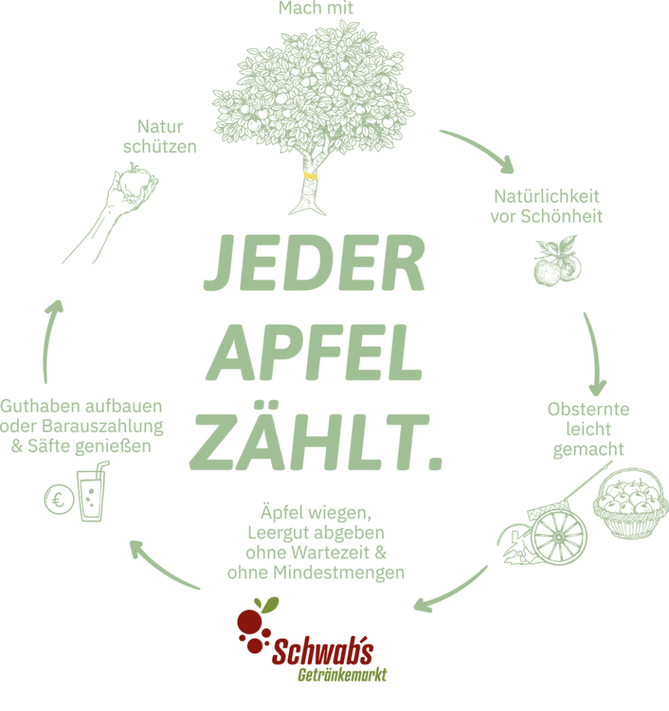 Kreislauf-Grafik der Apfelannahme. Äpfel ernten, bei Schwab's Getränkemarkt abgeben und dafür Guthaben für Saft oder Bargeld kassieren.